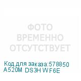 A520M DS3H WF6E
