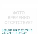 CS-CHIP-H-UN24Y
