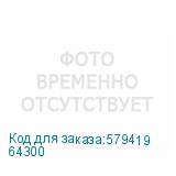 64300