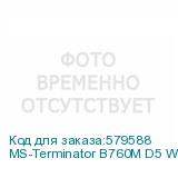 MS-Terminator B760M D5 WiFi V2