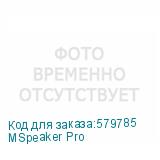 MSpeaker Pro
