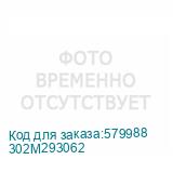 302M293062
