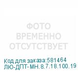 ЛЮ-ДПТ-МН.8.7.18.100.19