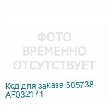 AF032171