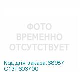 C13T603700