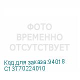 C13T70224010