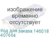 407664