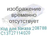 C13T27114020