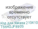 TS64GJF890S