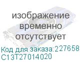 C13T27014020