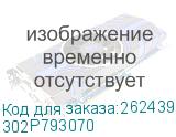 302P793070