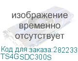 TS4GSDC300S