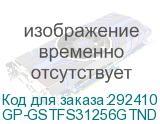 GP-GSTFS31256GTND