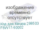 F6W17-60002