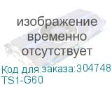 TS1-G60