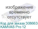 KAMVAS Pro 12