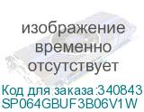 SP064GBUF3B06V1W