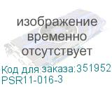 PSR11-016-3