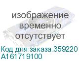 A161719100