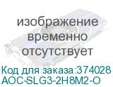 AOC-SLG3-2H8M2-O
