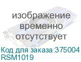 RSM1019