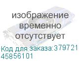 45856101