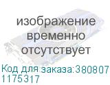 1175317
