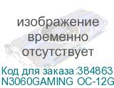 N3060GAMING OC-12GD 2.0