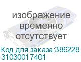 31030017401