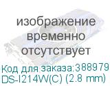 DS-I214W(C) (2.8 mm)