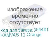 KAMVAS 12 Orange