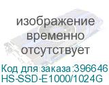HS-SSD-E1000/1024G