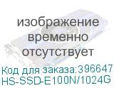HS-SSD-E100N/1024G