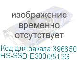 HS-SSD-E3000/512G
