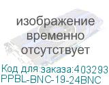 PPBL-BNC-19-24BNC