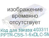 PPTR-CSS-1-6xDLC-SM/GN-BL