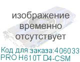 PRO H610T D4-CSM