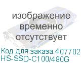 HS-SSD-C100/480G