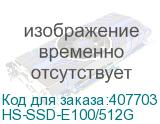 HS-SSD-E100/512G