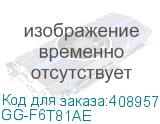 GG-F6T81AE