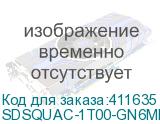 SDSQUAC-1T00-GN6MN