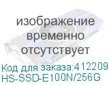 HS-SSD-E100N/256G