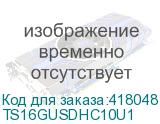 TS16GUSDHC10U1