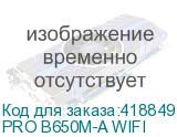 PRO B650M-A WIFI