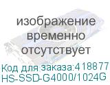 HS-SSD-G4000/1024G