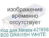 B20 GRAYISH WHITE