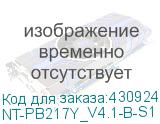 Тонер-картридж G&G, аналог Brother TN-217Y красный 2.3k (NT-PB217Y_V4.1-B-S1) NT-PB217Y_V4.1-B-S1