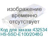 HS-SSD-E100/2048G