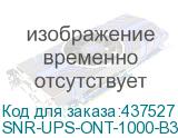 SNR-UPS-ONT-1000-B36