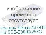 HS-SSD-E3000/256G